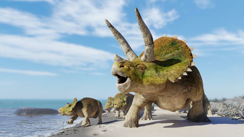 Groupe Triceratops horridus, troupeau de dinosaures profitant de la plage (rendu scientifique 3d)