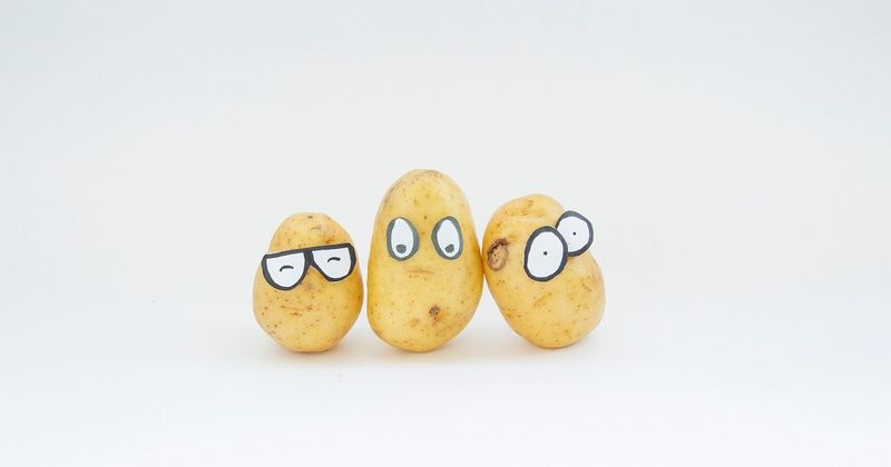 90 jeux de mots et blagues sur les pommes de terre qui vous feront rire aux éclats